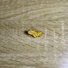 Pin_Avión