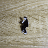 Pin_Baile1