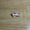 Pin_Gato_Blanco