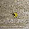 Pin_Luna