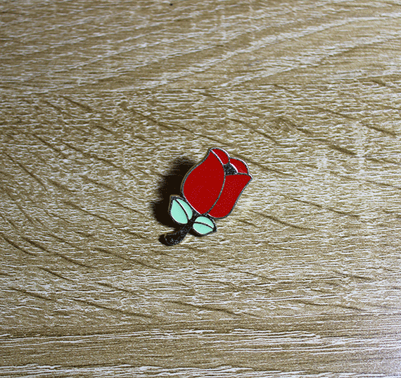Pin_Rosa