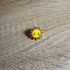 Pin_Sol