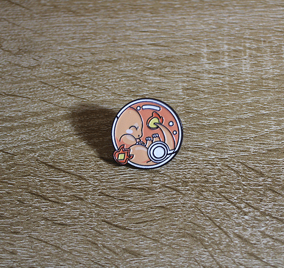 Pin_Pokemon_Charmander