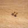 Aretes_Acero_Dorado_Corazón_Morado